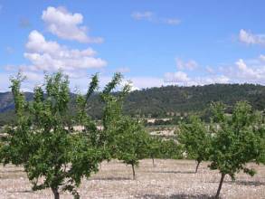 Thumbnail von Villa For Sale in Salinas, Alicante