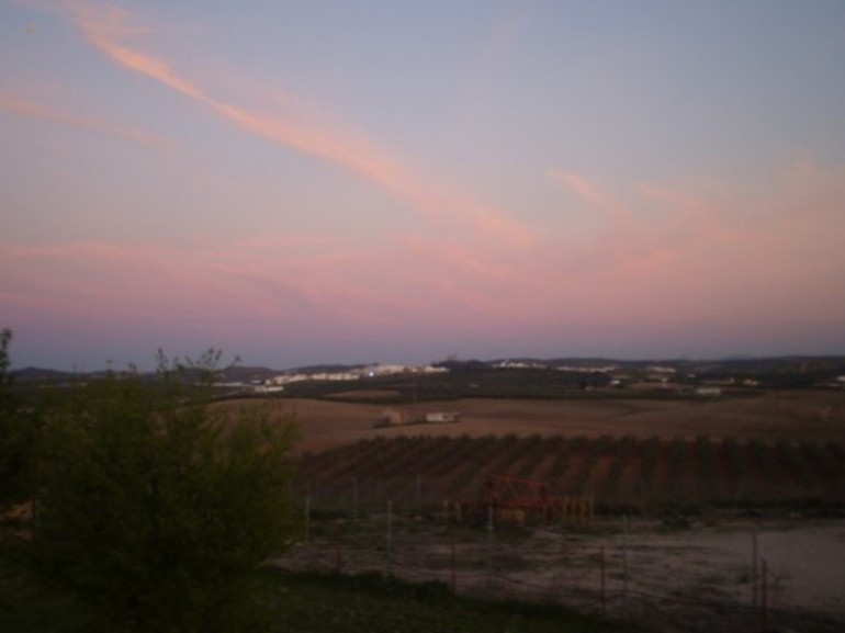 Thumbnail von Villa For Sale in Moron De La Frontera, Sevilla