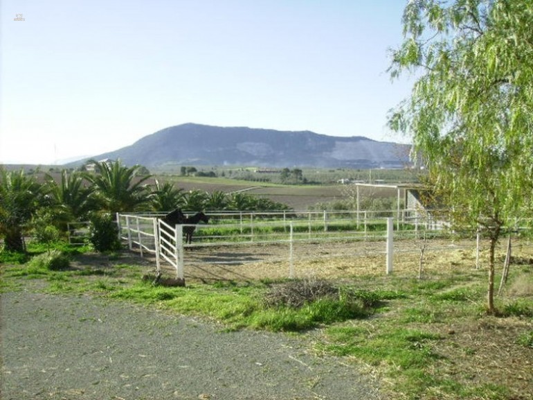 Thumbnail von Villa For Sale in Moron De La Frontera, Sevilla