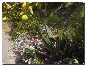 Thumbnail von Immogold, "mein" Haus mitten eines mediterranen Areals