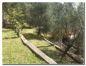 Thumbnail von Immogold, "mein" Haus mitten eines mediterranen Areals