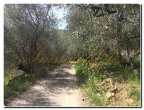 Thumbnail von Immogold, "mein" Haus mitten eines mediterranen Areals