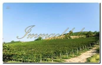 Thumbnail von Immogold in Roero apartes, gastronomisches Objekt der Extraklasse