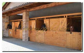 Thumbnail von Immogold in Roero apartes, gastronomisches Objekt der Extraklasse