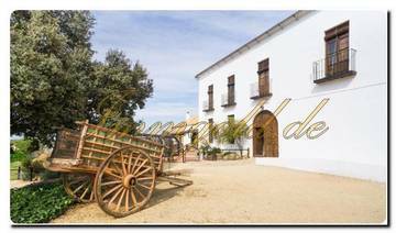 Thumbnail von mmogold, gepflegte Finca mit Gästezimmern und Reitstall