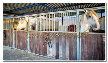 Thumbnail von mmogold, gepflegte Finca mit Gästezimmern und Reitstall