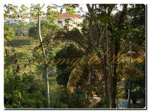 Thumbnail von Immogold tolle, beispielhafte, aparte Grundstücke im Norden/NordOst der Insel