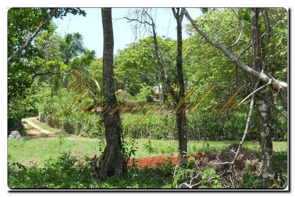 Immogold tolle, beispielhafte, aparte Grundstücke im Norden/NordOst der Insel