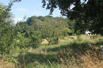 Thumbnail von Sie wollen Ihre Ruhe am Stadtrand von Dresden haben?