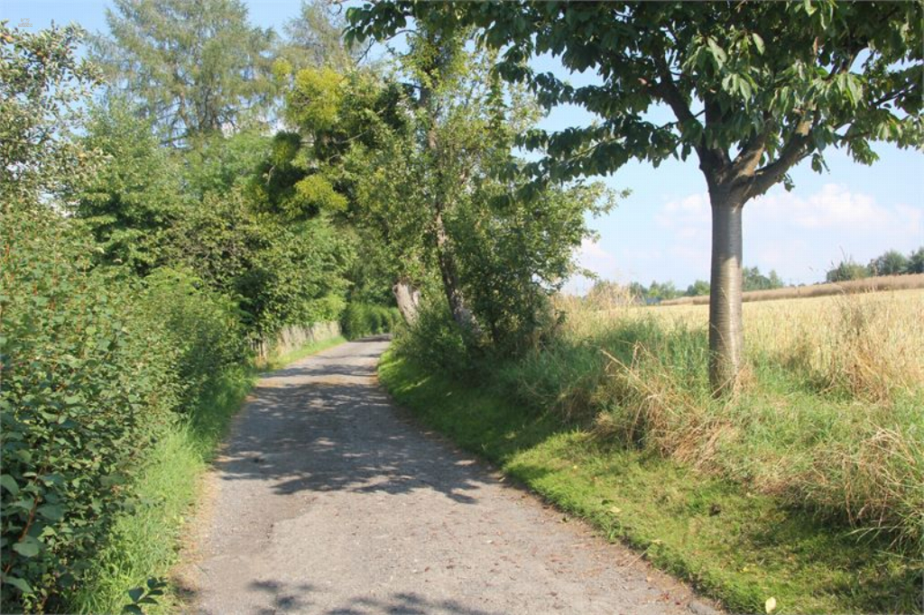 Thumbnail von Sie wollen Ihre Ruhe am Stadtrand von Dresden haben?