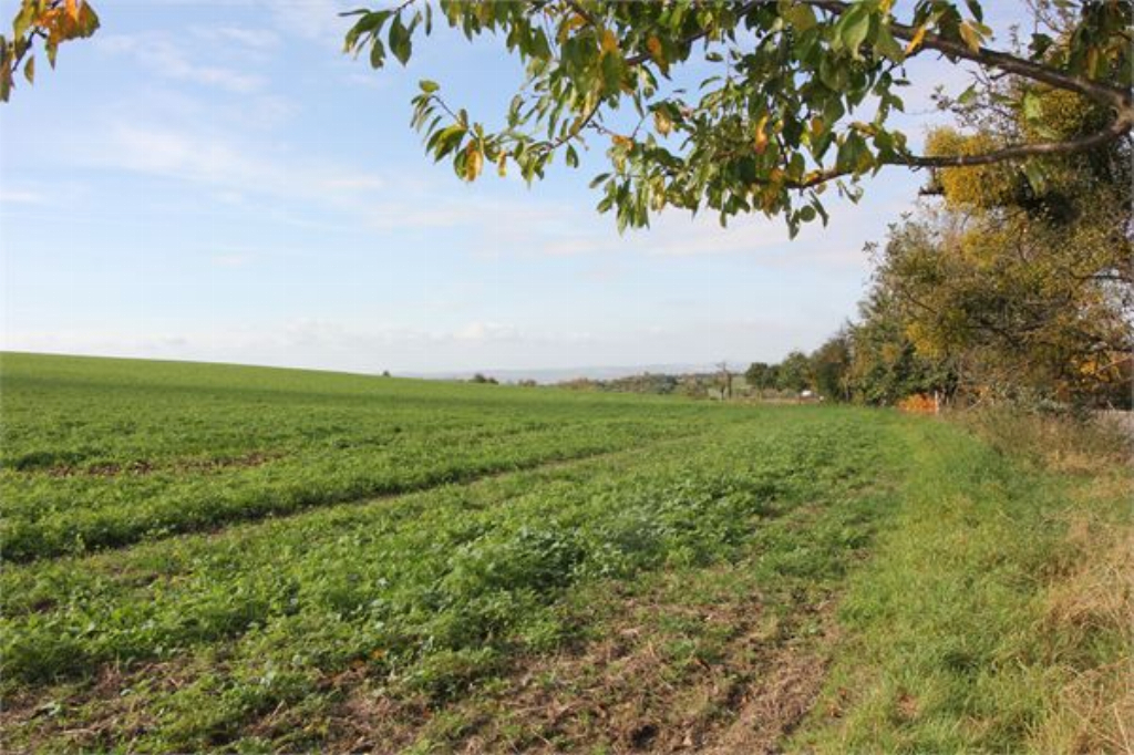 Thumbnail von Sie wollen Ihre Ruhe am Stadtrand von Dresden haben?