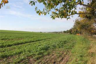 Thumbnail von Sie wollen Ihre Ruhe am Stadtrand von Dresden haben?