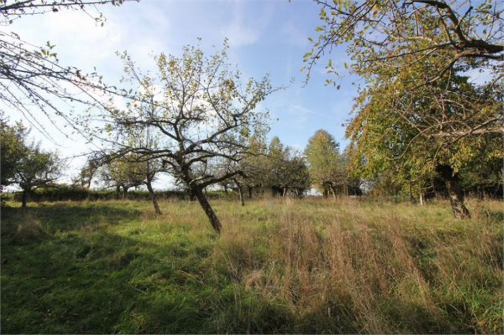 Thumbnail von Sie wollen Ihre Ruhe am Stadtrand von Dresden haben?