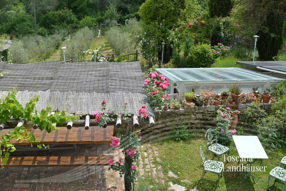 Thumbnail von Märchenhaftes Rustico im Chianti Gebiet mit Infinity-Pool