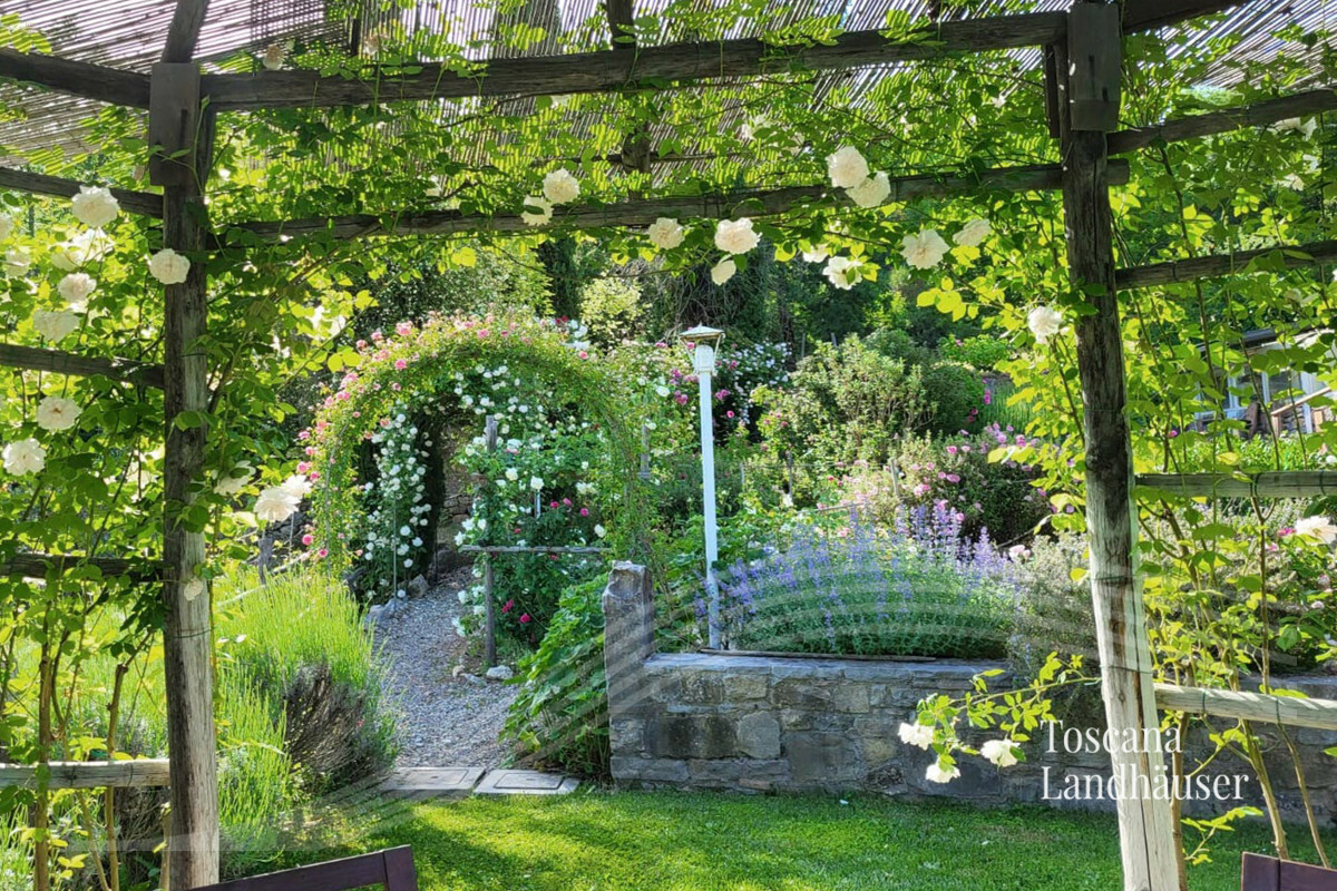 Thumbnail von Märchenhaftes Rustico im Chianti Gebiet mit Infinity-Pool