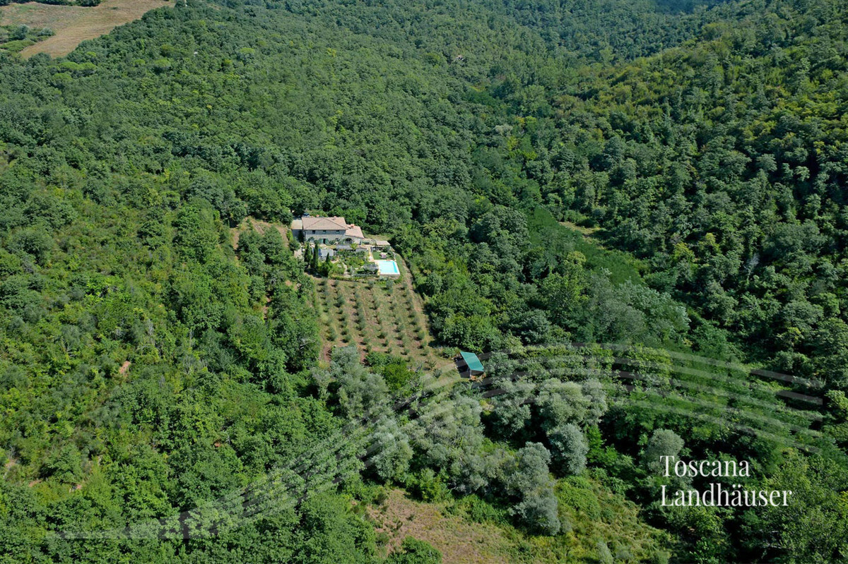 Thumbnail von Märchenhaftes Rustico im Chianti Gebiet mit Infinity-Pool