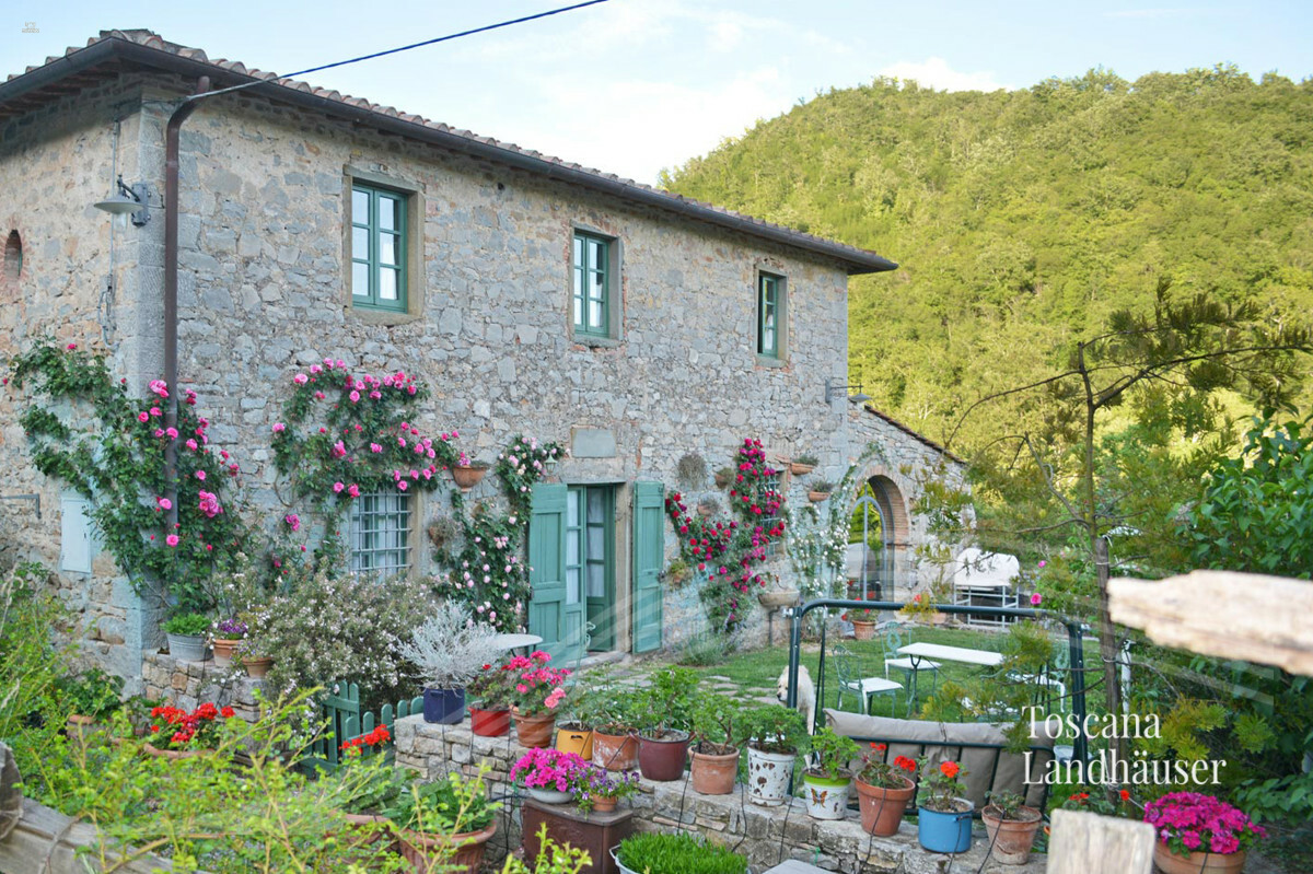 Thumbnail von Märchenhaftes Rustico im Chianti Gebiet mit Infinity-Pool