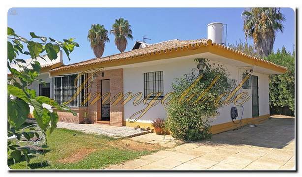 Immogold Finca mit großem Grundstück, Pool und schönem Garten