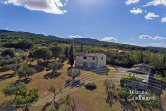 Thumbnail von Charmantes Bauernhaus in Mitten der toskanischen Hügellandschaft