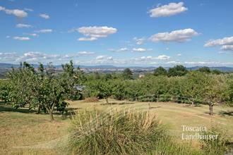 Thumbnail von Charmantes Bauernhaus in Mitten der toskanischen Hügellandschaft