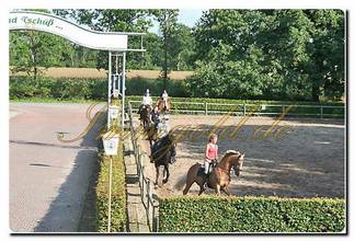 Thumbnail von Immogold, Reitanlage mit ca. 50.0000 m² Grundstück, Reithalle und Gastgewerbe