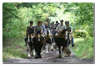 Thumbnail von Immogold, Reitanlage mit ca. 50.0000 m² Grundstück, Reithalle und Gastgewerbe