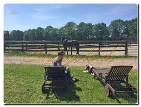 Thumbnail von Immogold, Reitanlage mit ca. 50.0000 m² Grundstück, Reithalle und Gastgewerbe