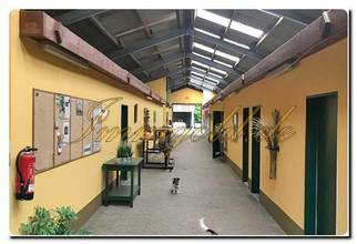 Thumbnail von Immogold, Reitanlage mit ca. 50.0000 m² Grundstück, Reithalle und Gastgewerbe