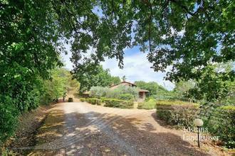 Thumbnail von Schön renoviertes Rustico mit Pool mitten im Grünen