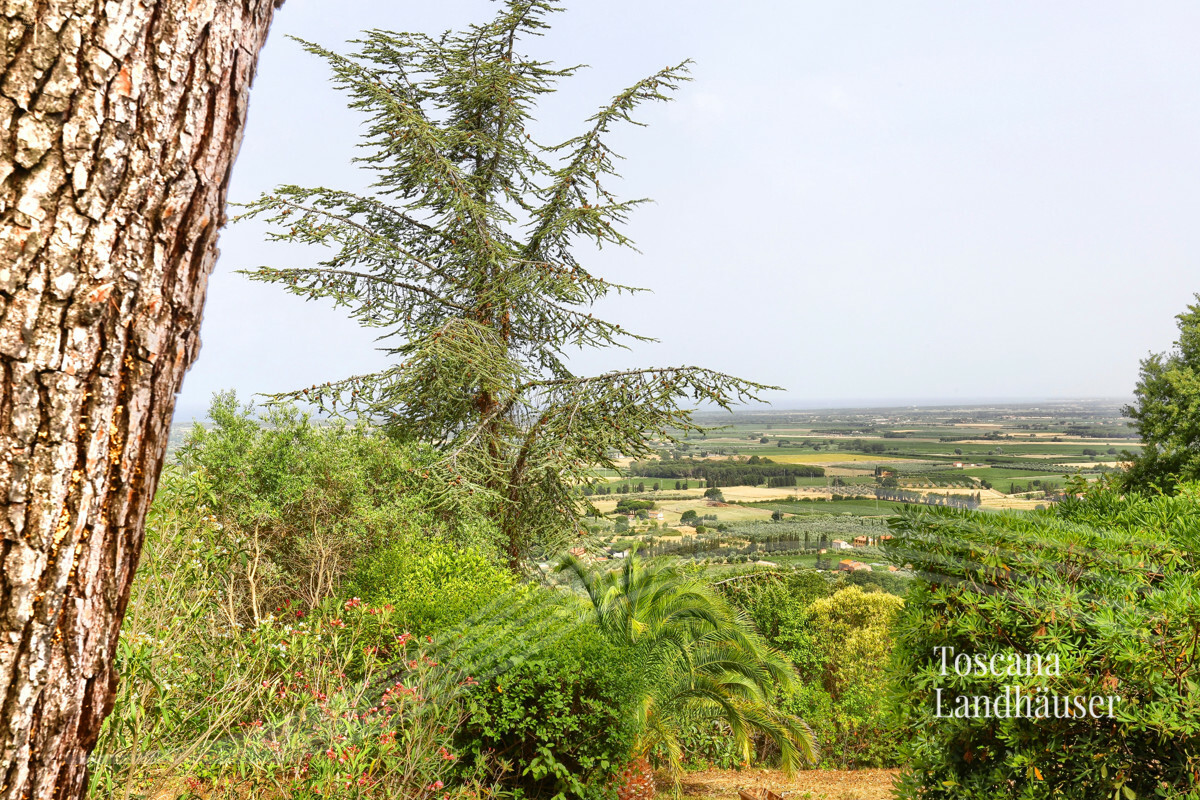 Thumbnail von Toskanische Villa mit Meerblick