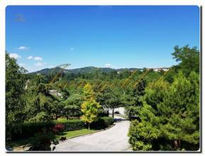 Thumbnail von Immogold, aparte Villa in sonniger Lage mit parkähnlichem Areal