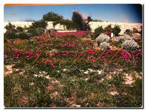 Thumbnail von Luxuriöses Baugrundstück mit Meerblick und eigenem Brunnen