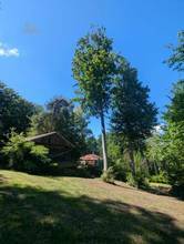 Thumbnail von Wunderschöne Villa mit Pool und weitläufigem Grundstück, Nähe Pressbaum