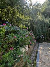 Thumbnail von Wunderschöne Villa mit Pool und weitläufigem Grundstück, Nähe Pressbaum