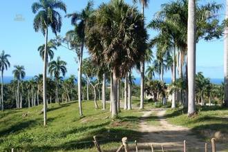 Thumbnail von Ein Traumgrundstück - schönste Lage an der Nordküste!