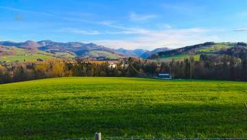 Thumbnail von INVESTIMENTO SICURO. TERRENO DI PIETRA