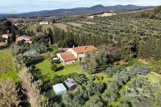 Thumbnail von Antikes Landhaus mit Nebengebäude in Mitten der Weinberge von Bolgheri