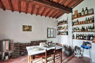 Thumbnail von Antikes Landhaus mit Nebengebäude in Mitten der Weinberge von Bolgheri