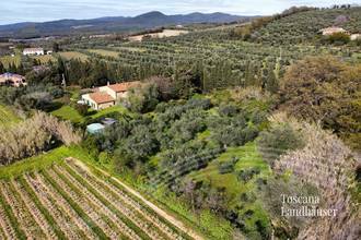 Thumbnail von Antikes Landhaus mit Nebengebäude in Mitten der Weinberge von Bolgheri
