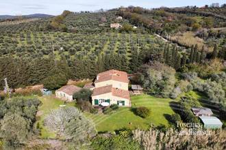 Thumbnail von Antikes Landhaus mit Nebengebäude in Mitten der Weinberge von Bolgheri