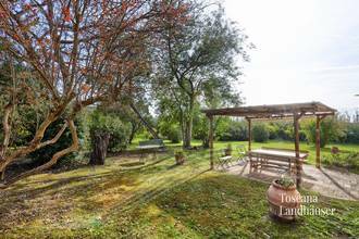 Thumbnail von Antikes Landhaus mit Nebengebäude in Mitten der Weinberge von Bolgheri