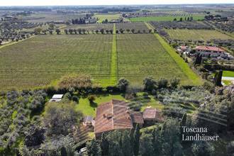 Thumbnail von Antikes Landhaus mit Nebengebäude in Mitten der Weinberge von Bolgheri