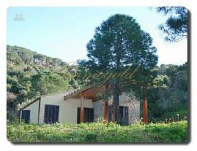 Thumbnail von Immogold Liebevoll gestaltete Villa mit herrlichem Meerblick