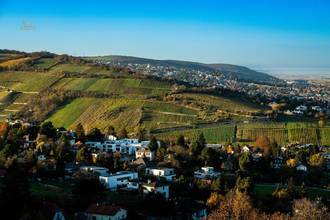 Thumbnail von Traumhaftes Grundstück mit Bebauungstudie, Nähe Kahlenberg