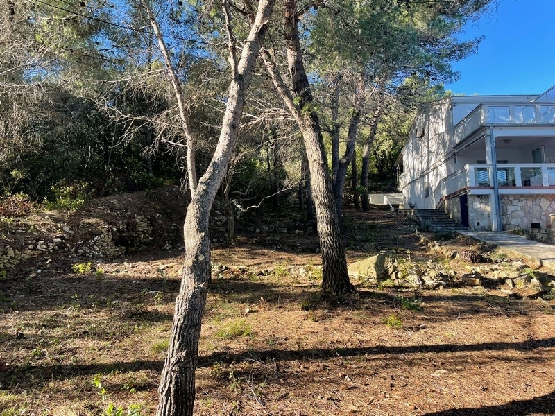 Thumbnail von Baugrundstück direkt am Meer