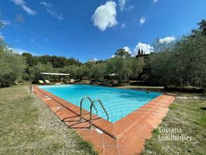 Thumbnail von renoviertes Anwesen eingebettet in üppige Natur, nur wenige Kilometer von Siena entfernt