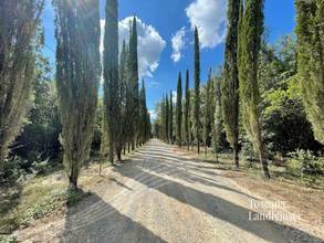 Thumbnail von renoviertes Anwesen eingebettet in üppige Natur, nur wenige Kilometer von Siena entfernt