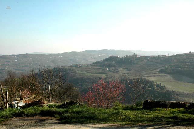 Thumbnail von Natursteingebäude in den sonnigen Hügeln bei Alba.