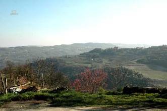 Thumbnail von Natursteingebäude in den sonnigen Hügeln bei Alba.