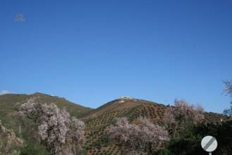 Thumbnail von villa for sale in - Colmenar